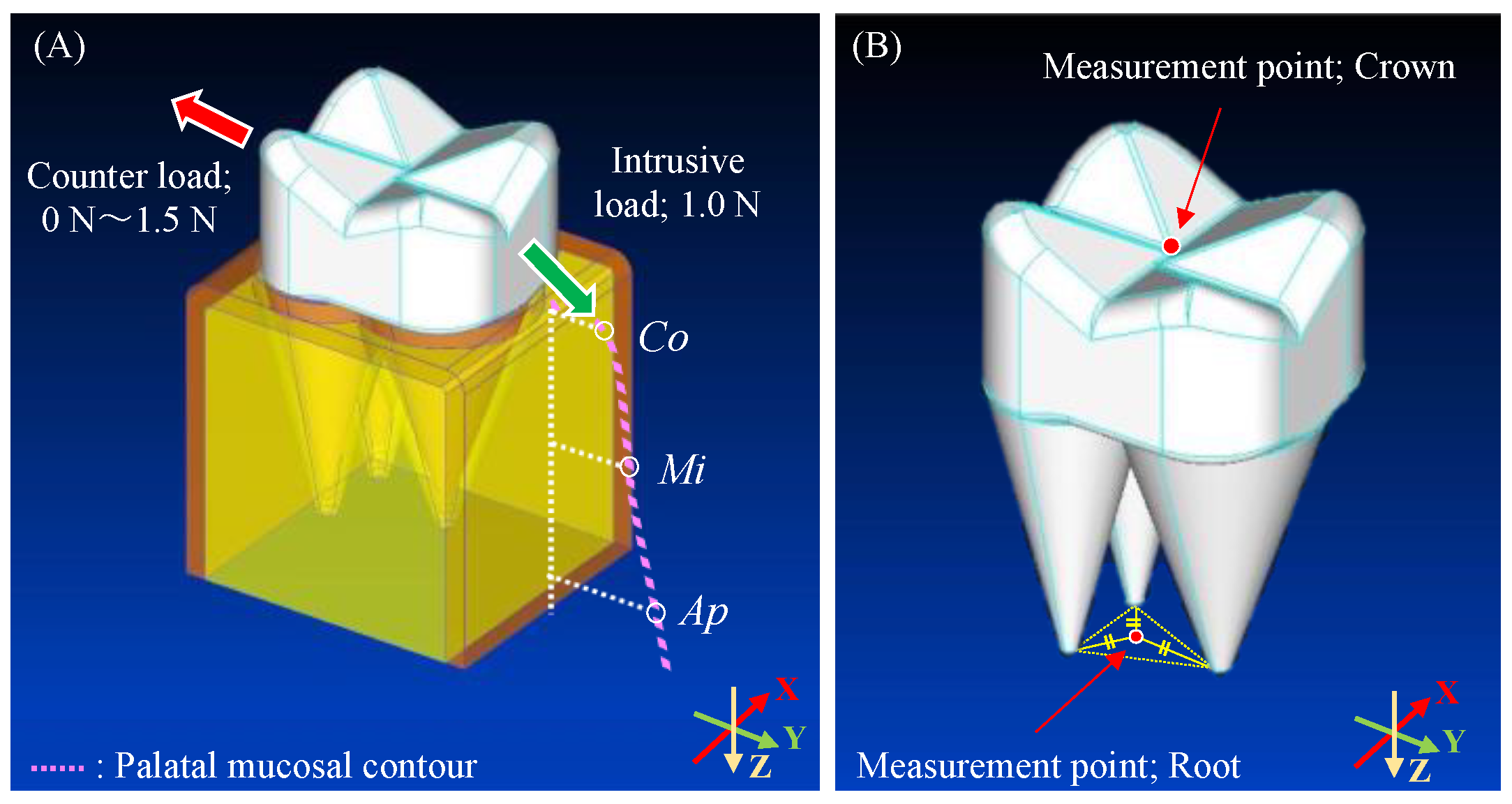 Applsci 11 11749 g003