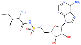 Applsci 11 11753 i001