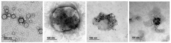 Applsci 11 11767 g002 550