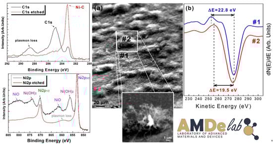 Applsci 11 11767 g005 550