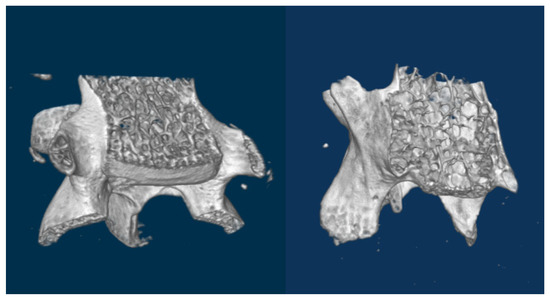 Applsci 11 11767 g007 550