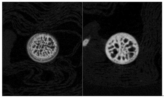 Applsci 11 11767 g008 550