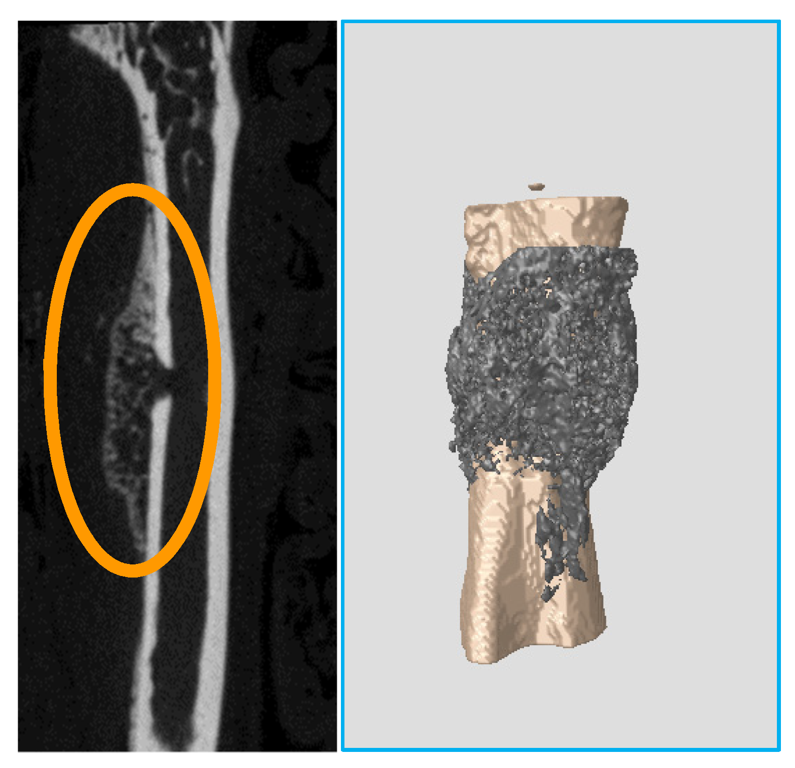 Applsci 11 11767 g025