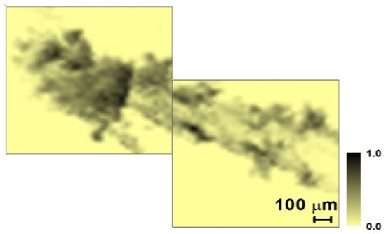 Applsci 11 11767 g026 550