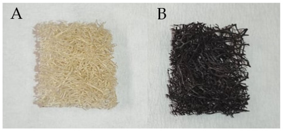 Applsci 11 11767 g028 550