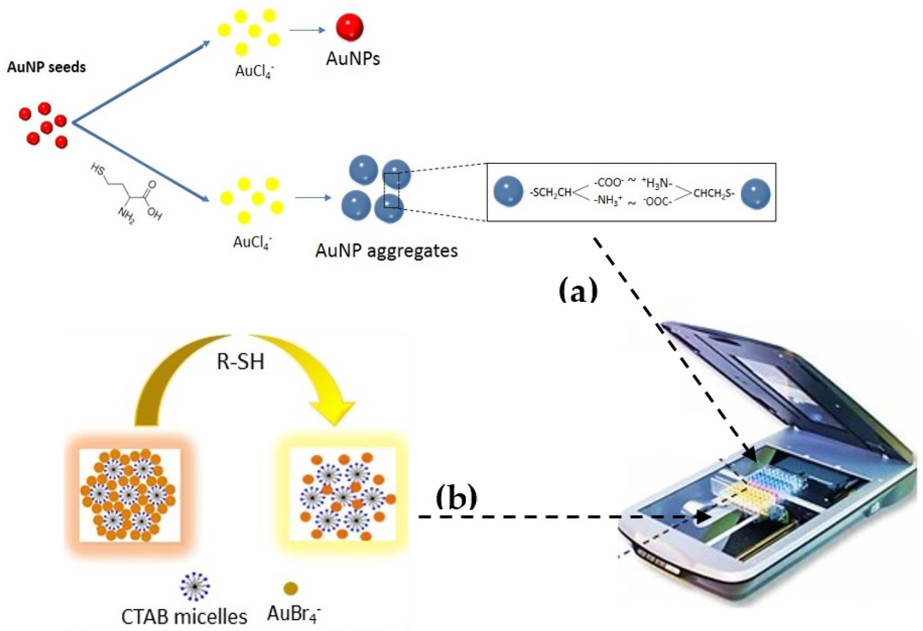 Applsci 11 11767 g029