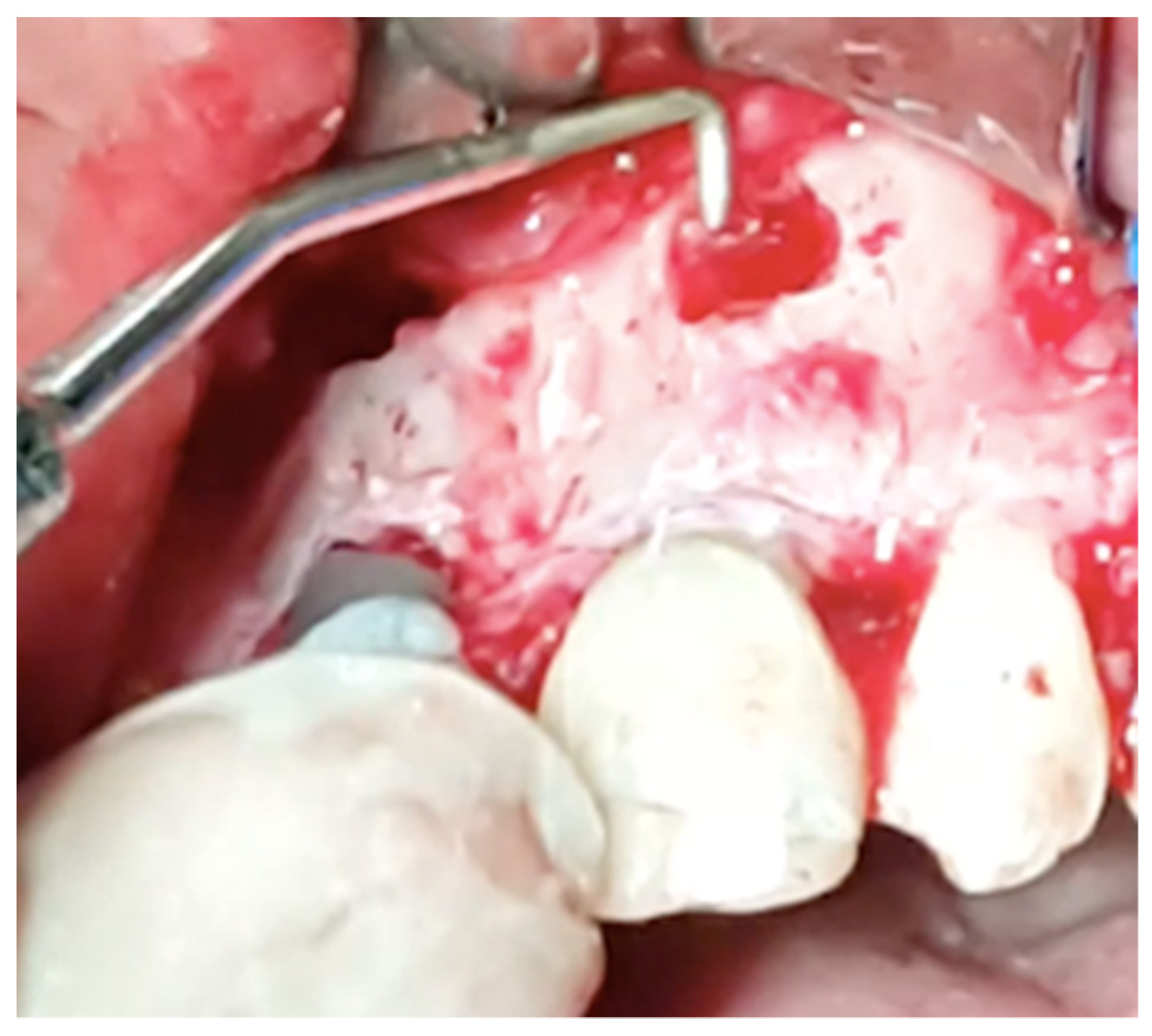 Applsci 11 11768 g003