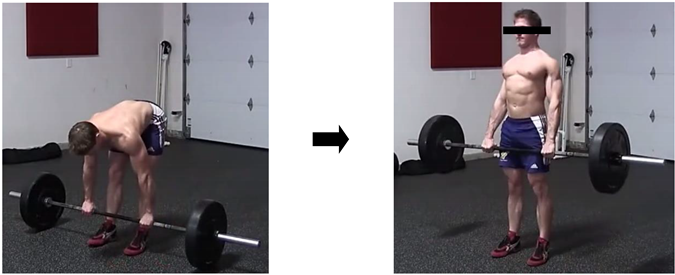 Applsci 11 11812 i007