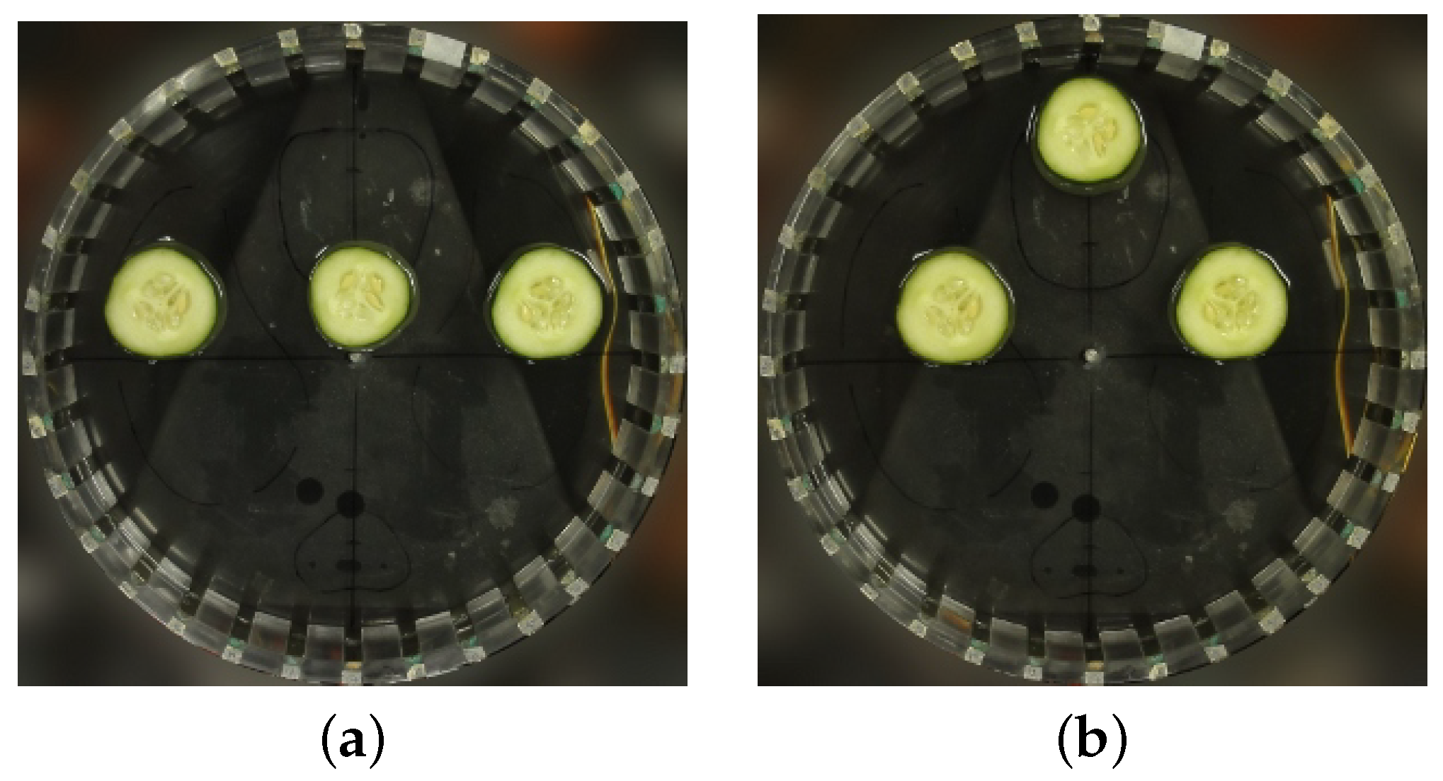 Applsci 11 11814 g005