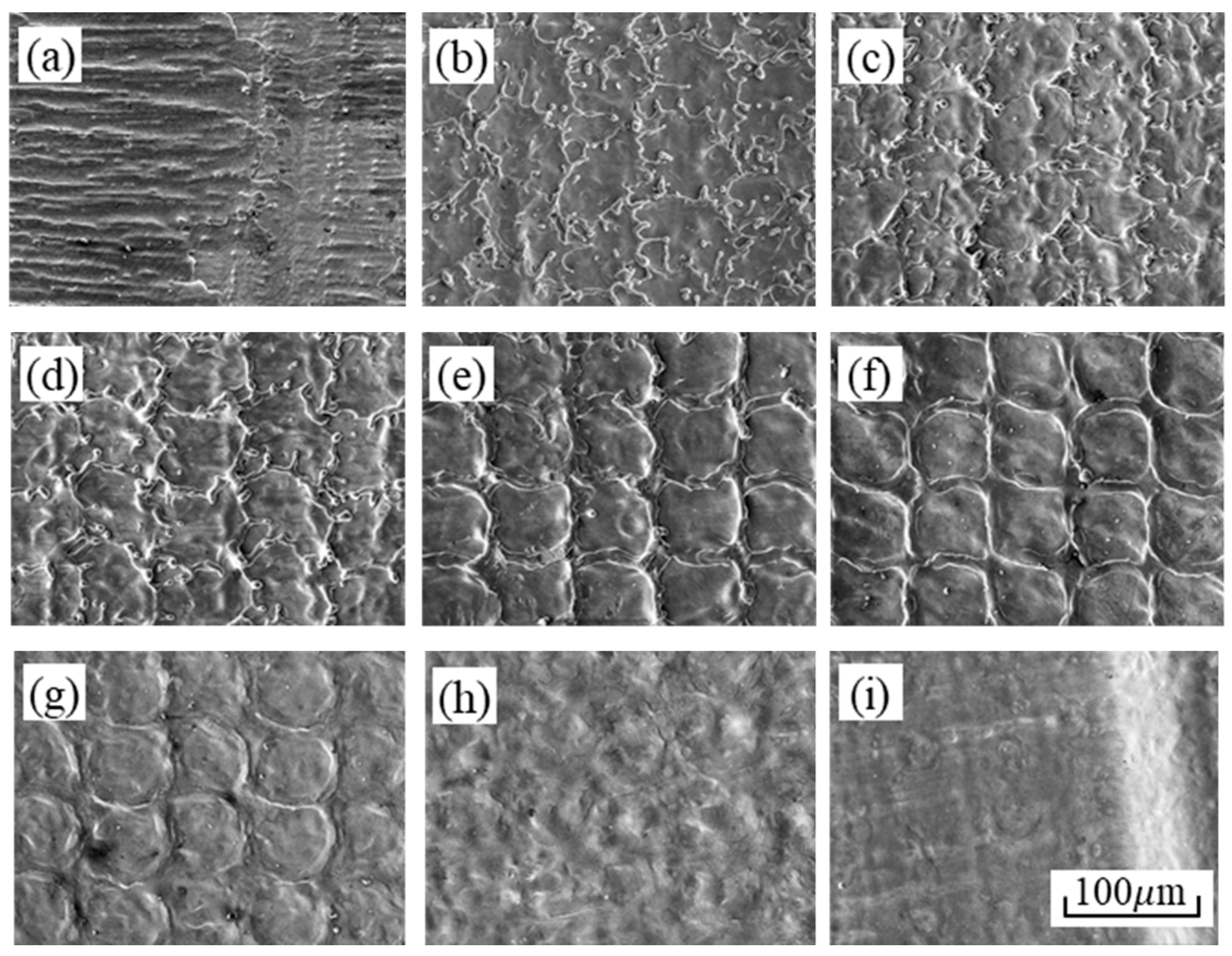 Applsci 11 11832 g007