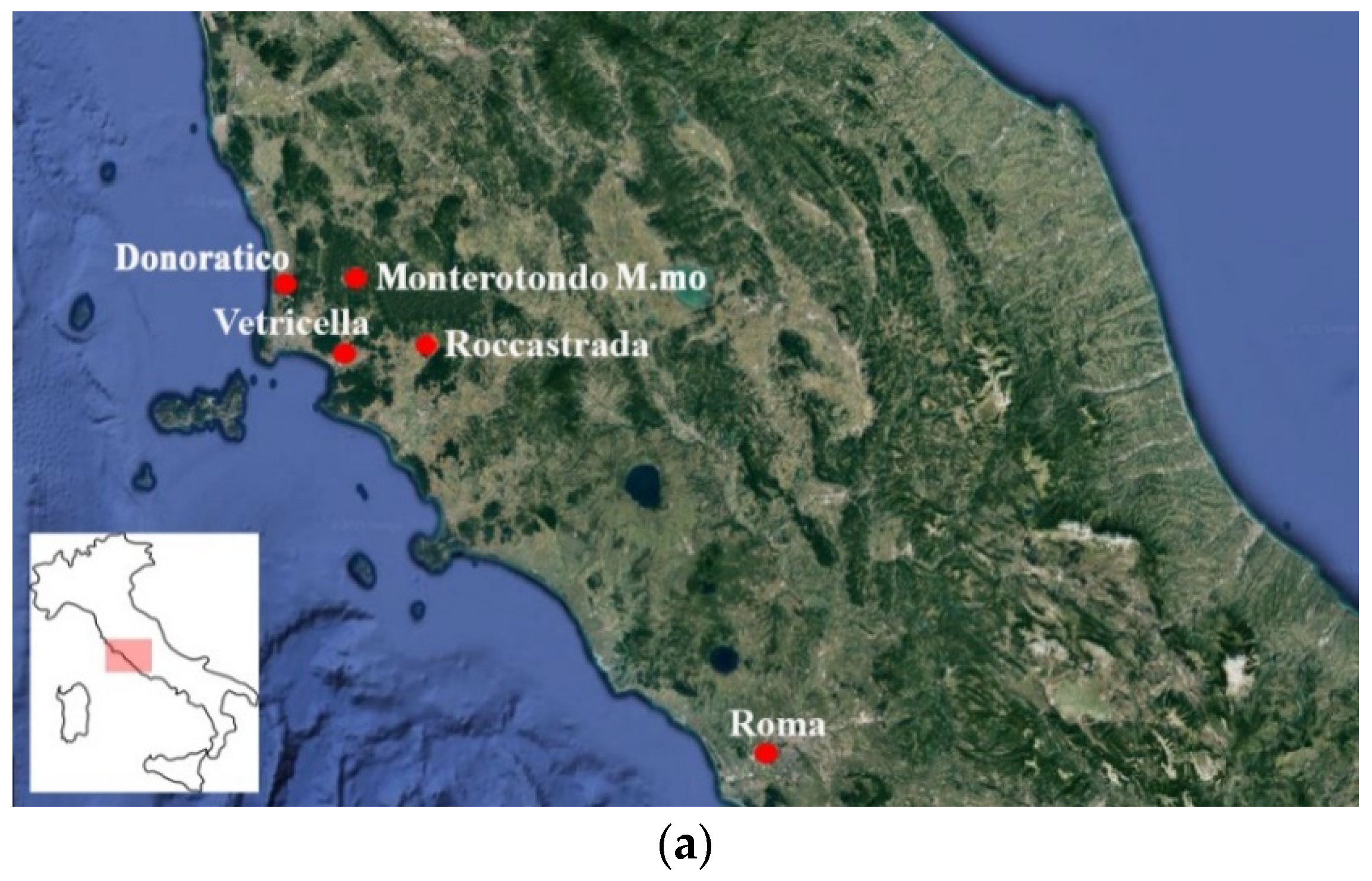 Applsci 11 11859 g001a