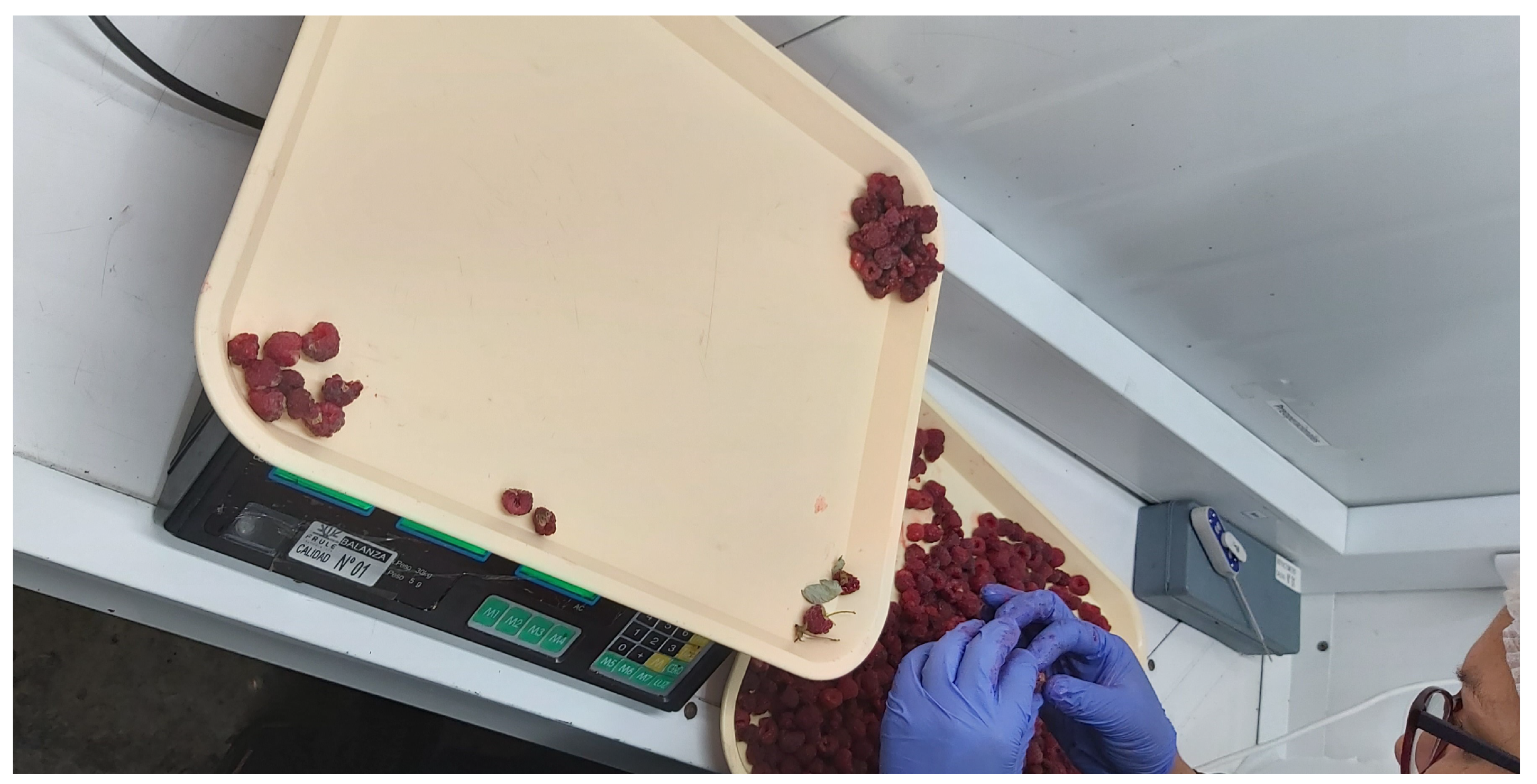 Applsci 11 11868 g002