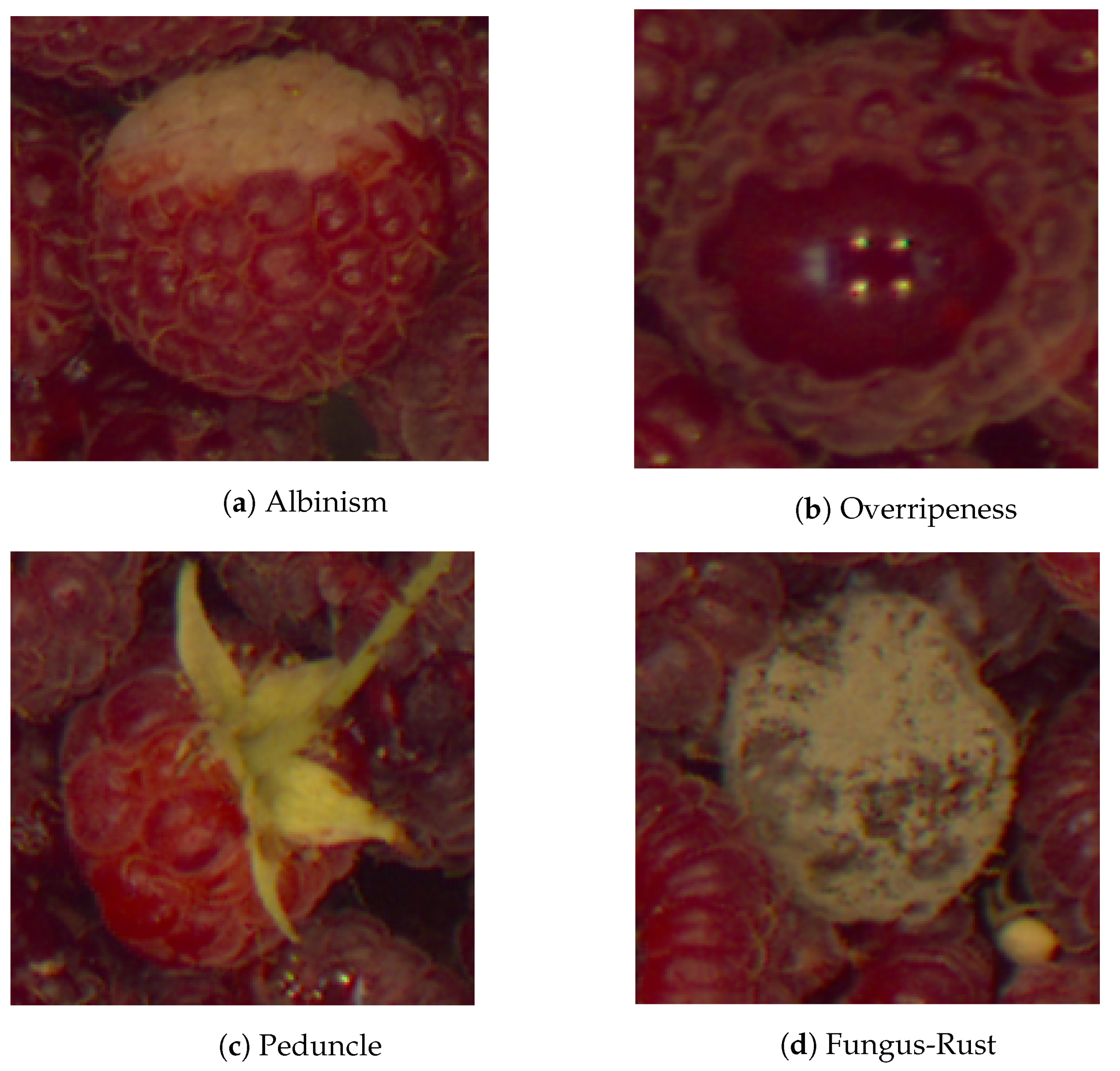 Applsci 11 11868 g008