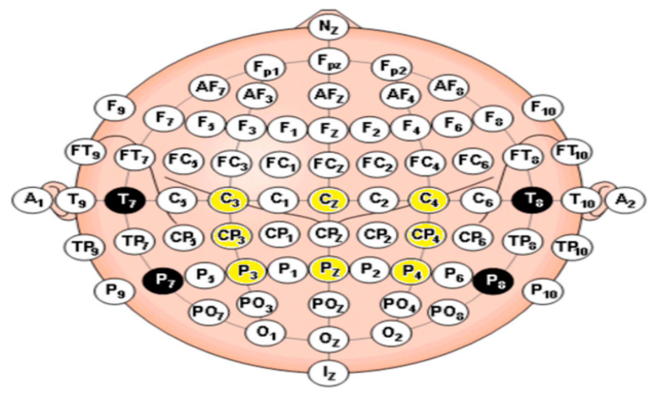 Applsci 11 11876 g002