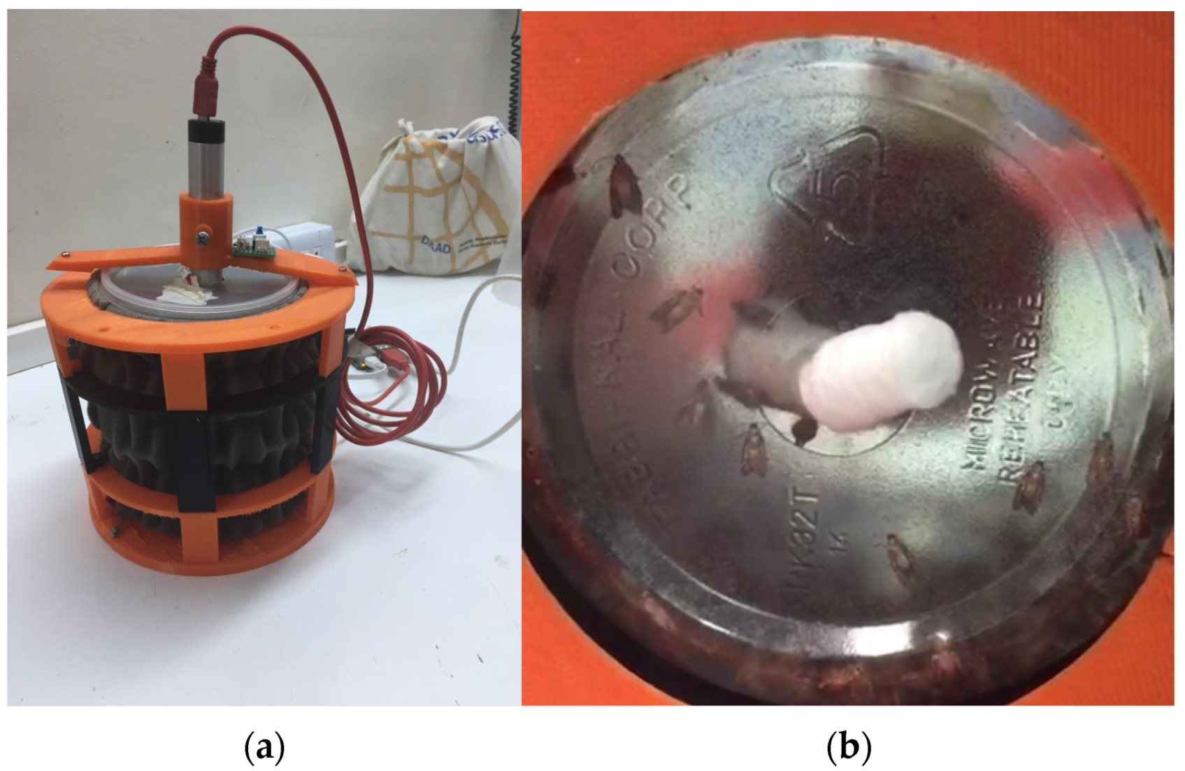 Applsci 11 11889 g002