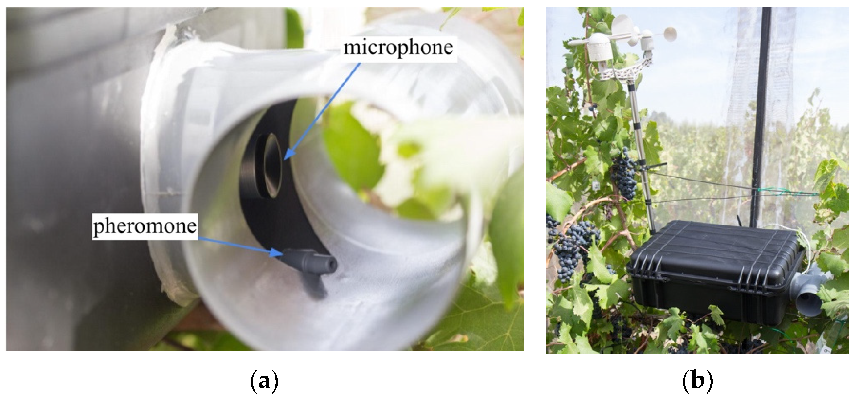 Applsci 11 11889 g013