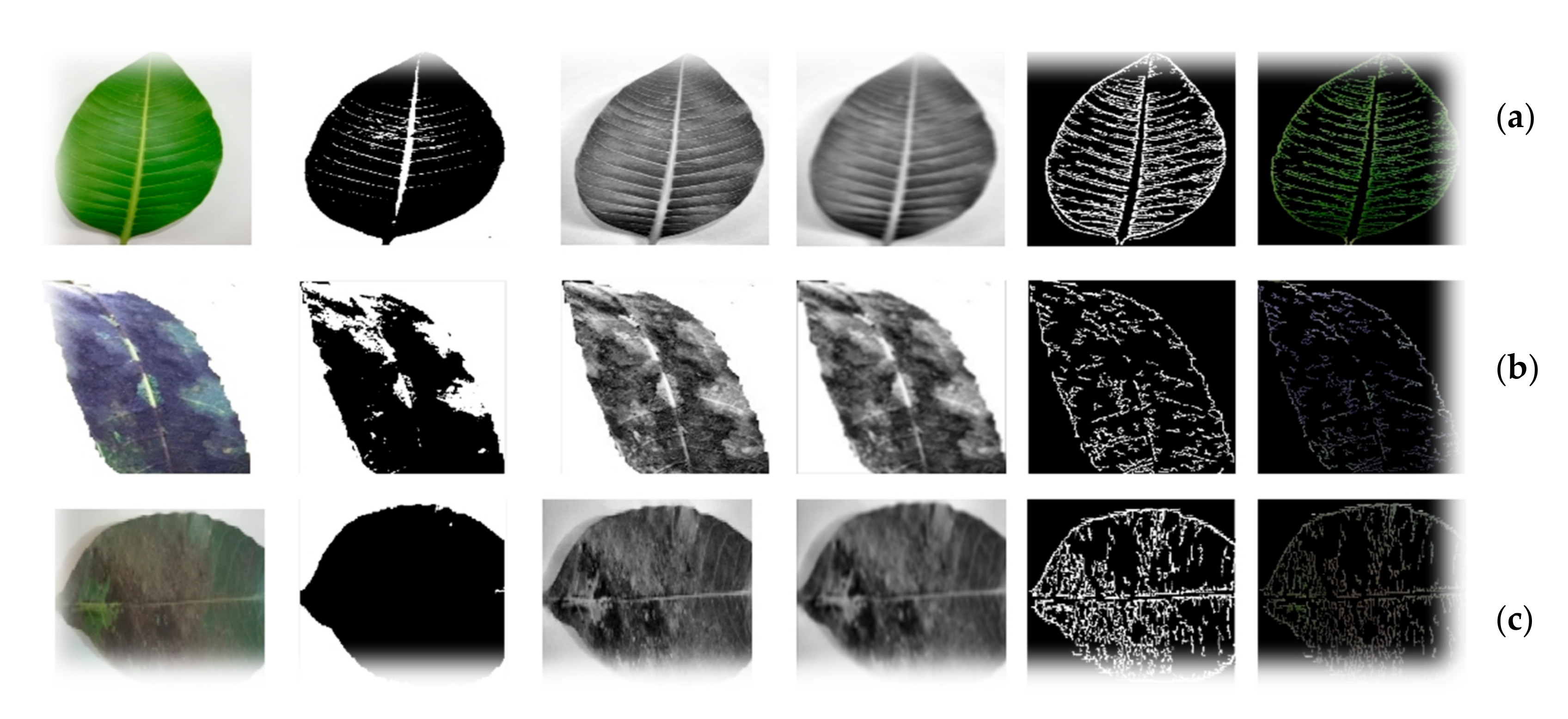 Applsci 11 11901 g003