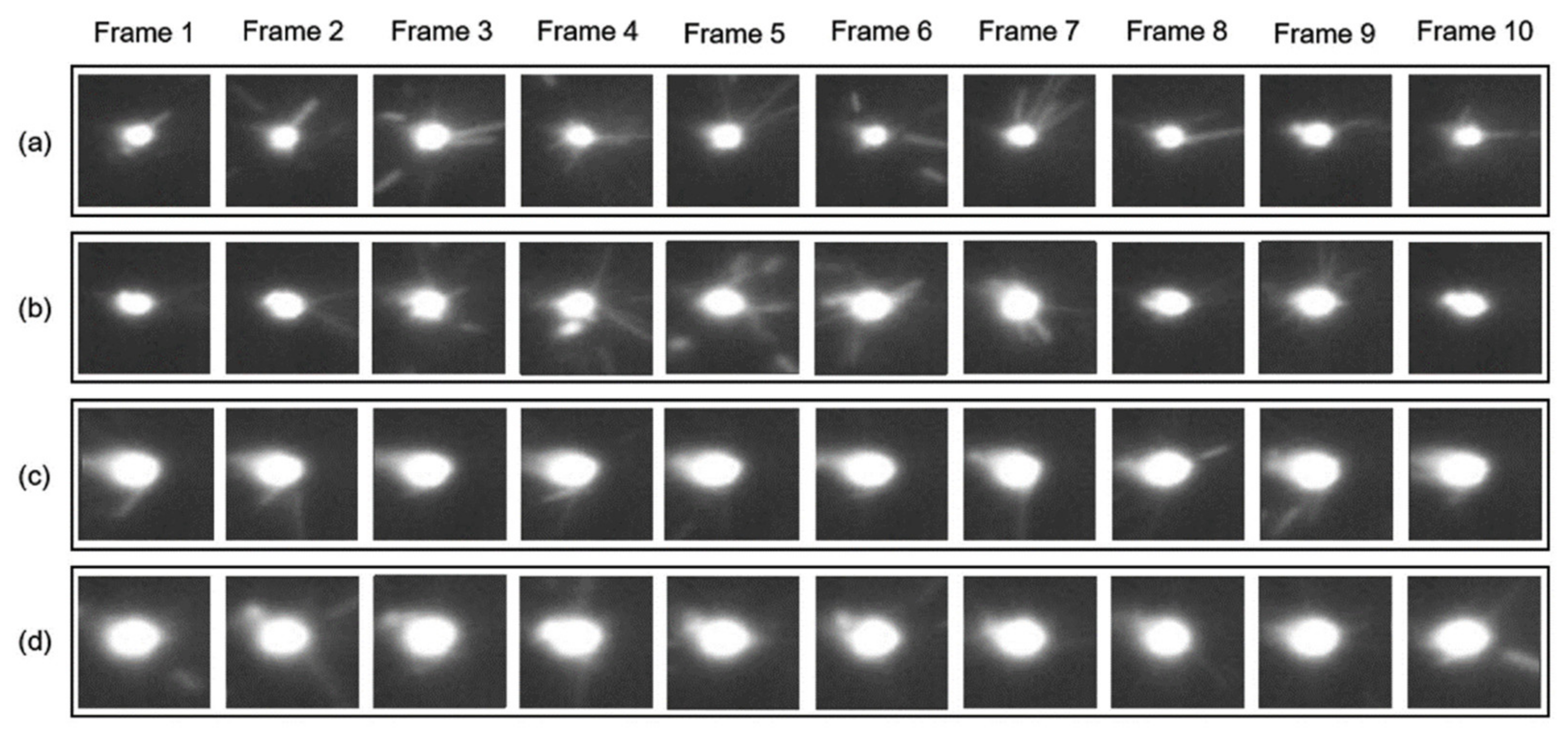 Applsci 11 11910 g021