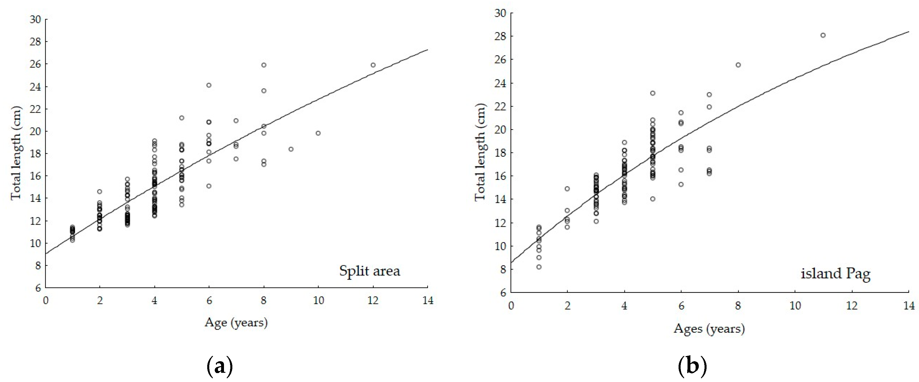 Applsci 11 11919 g002