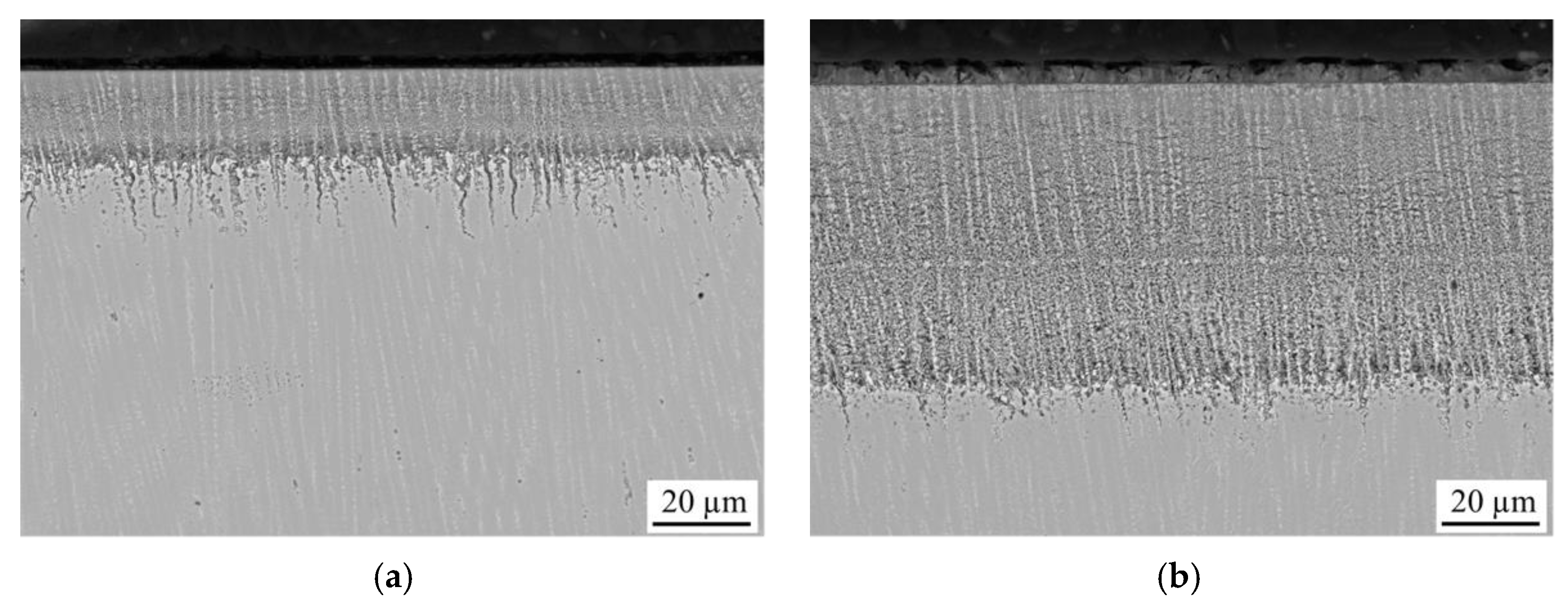 Applsci 11 11935 g001