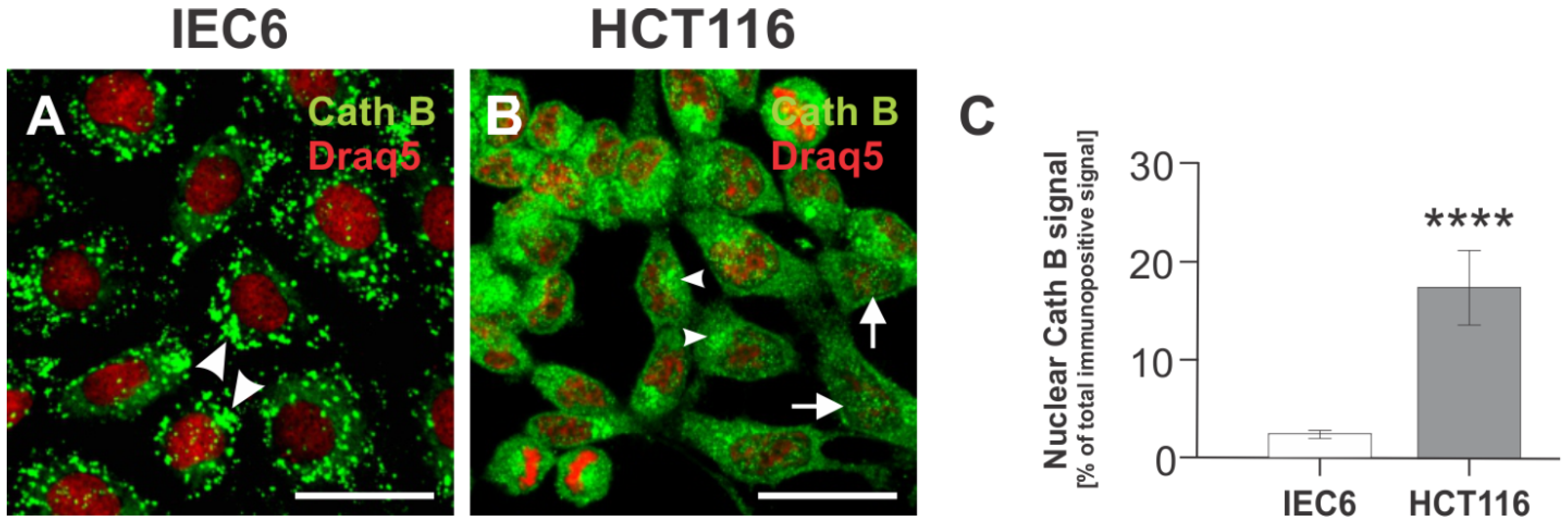 Applsci 11 11936 g002