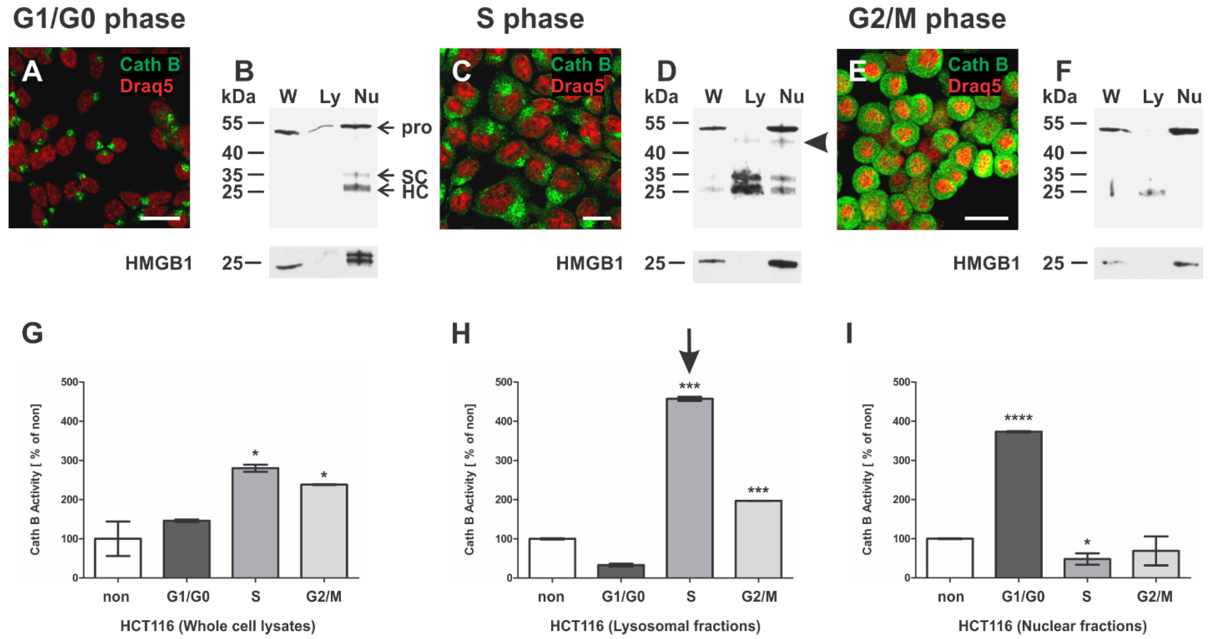 Applsci 11 11936 g007