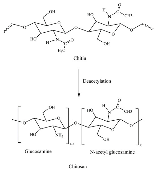 Applsci 11 11937 g004 550