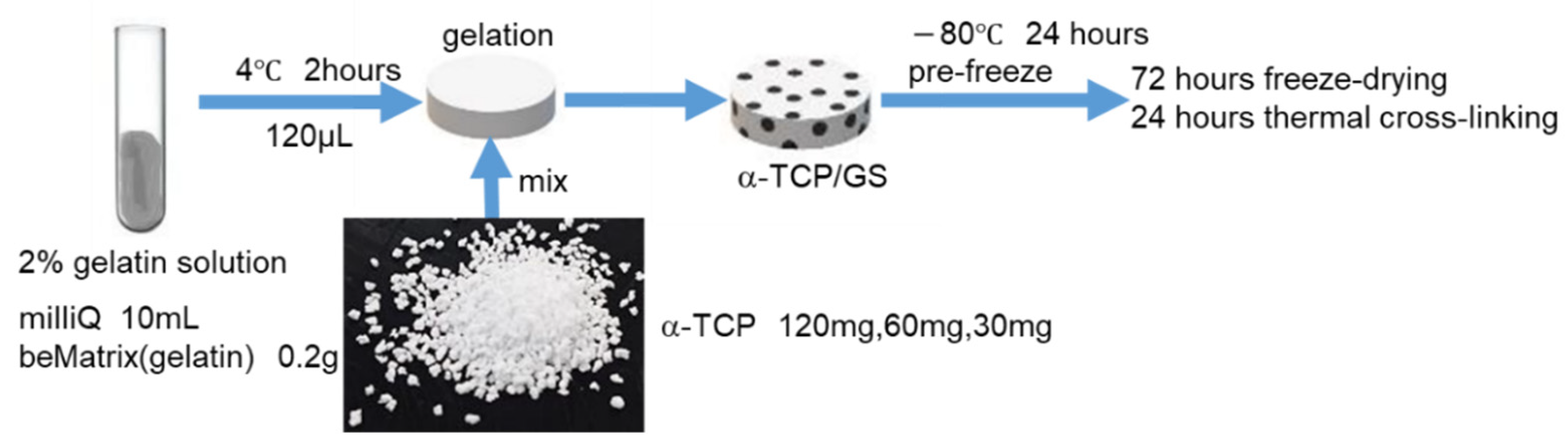 Applsci 11 11941 g001