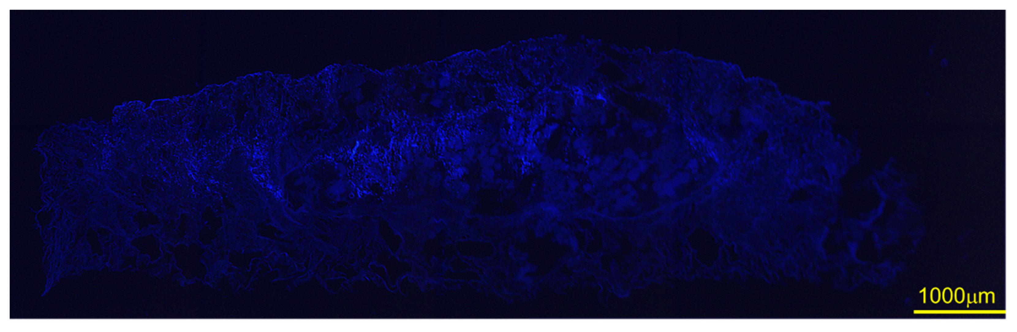 Applsci 11 11941 g011