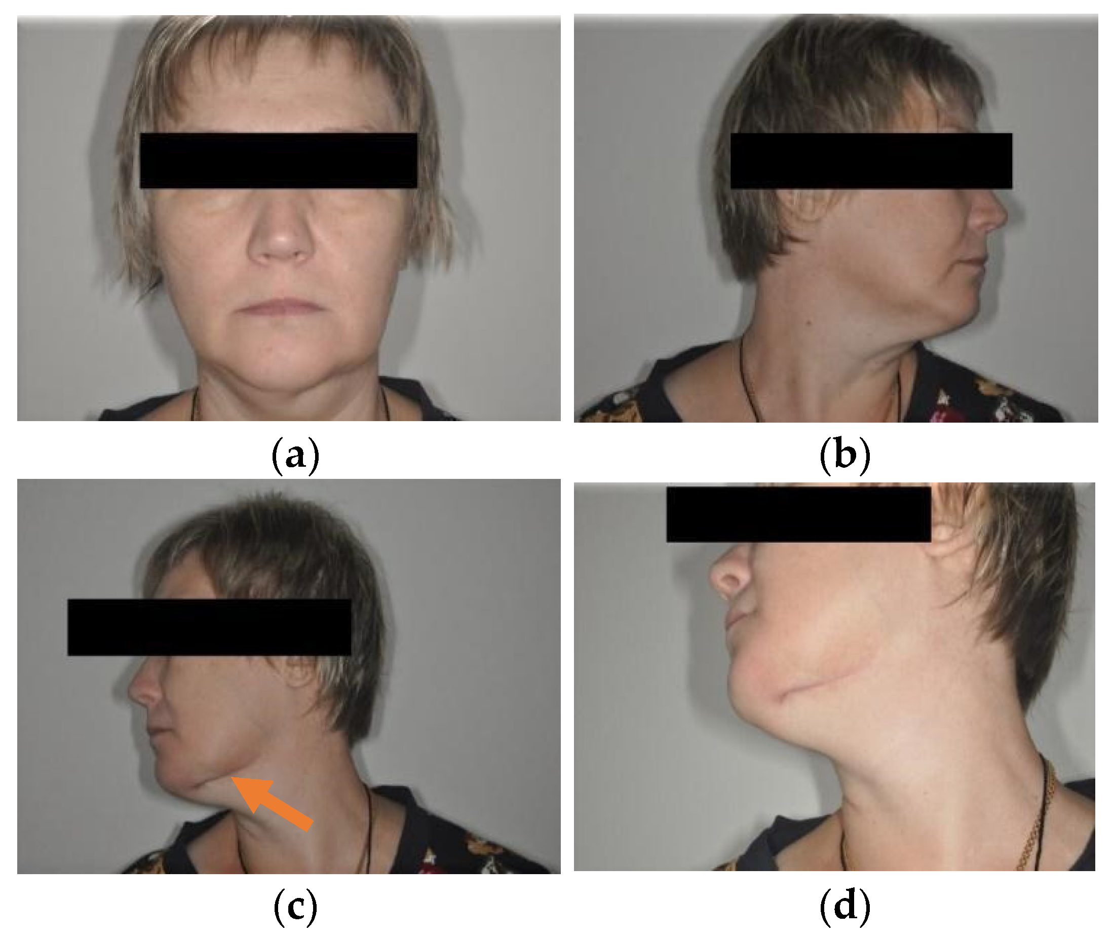 Applsci 11 11950 g001