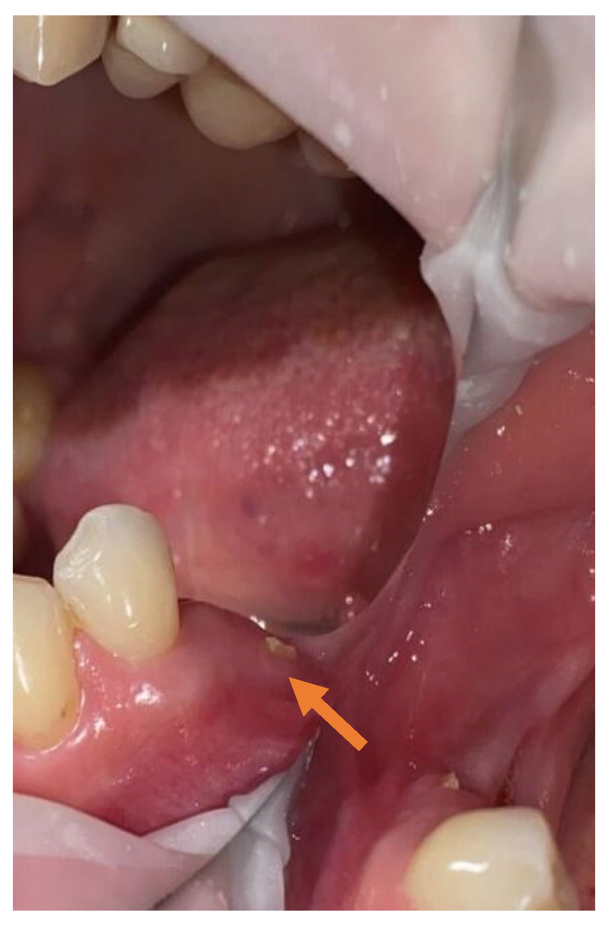 Applsci 11 11950 g002