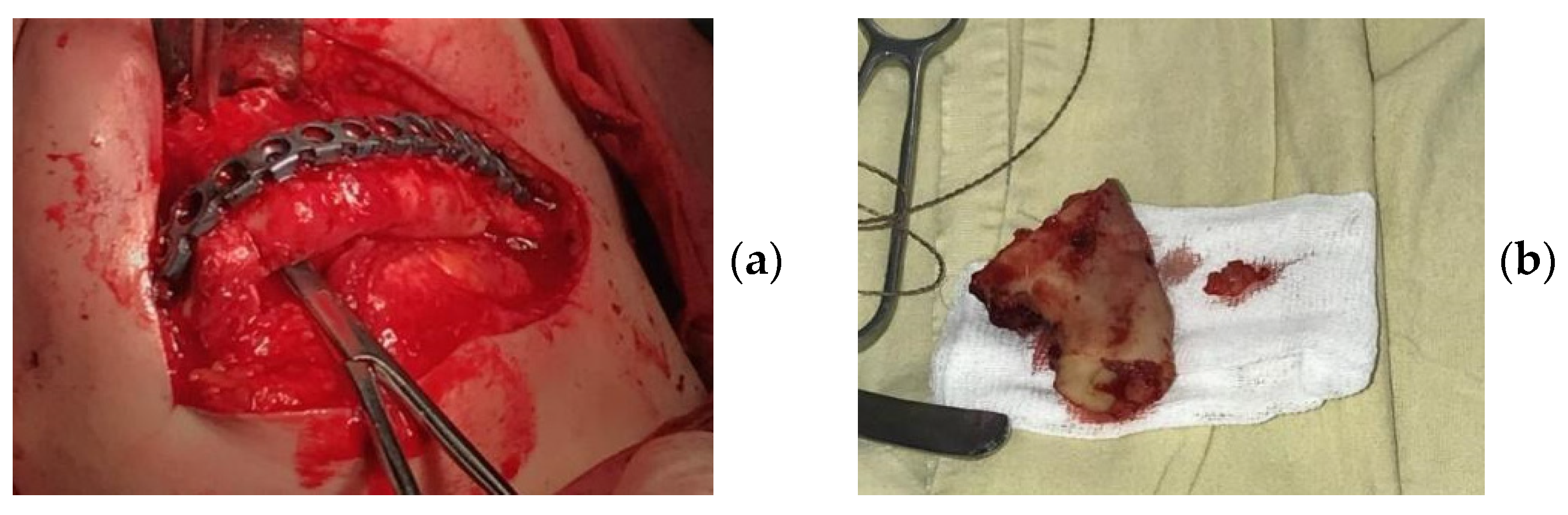 Applsci 11 11950 g005