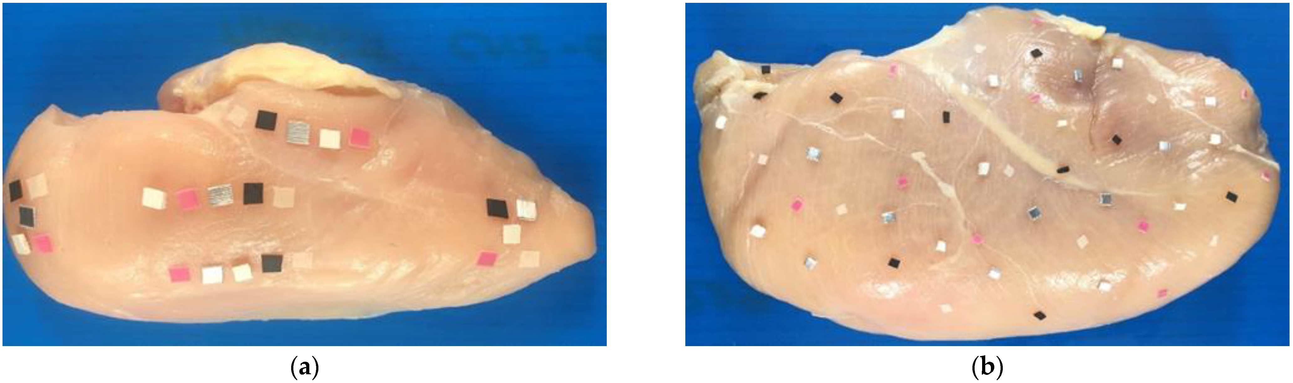 Applsci 11 11987 g002