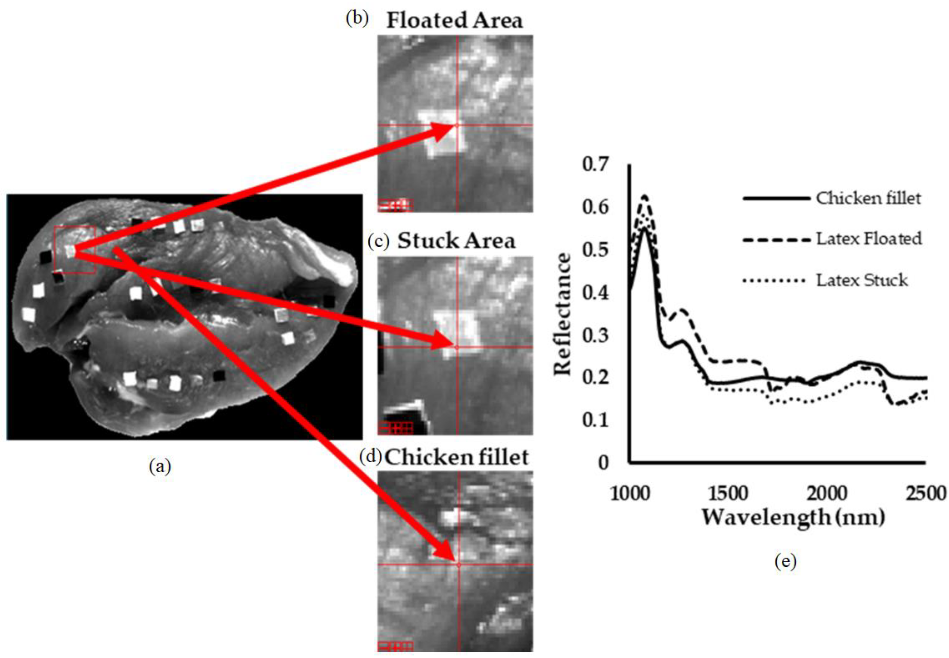 Applsci 11 11987 g005