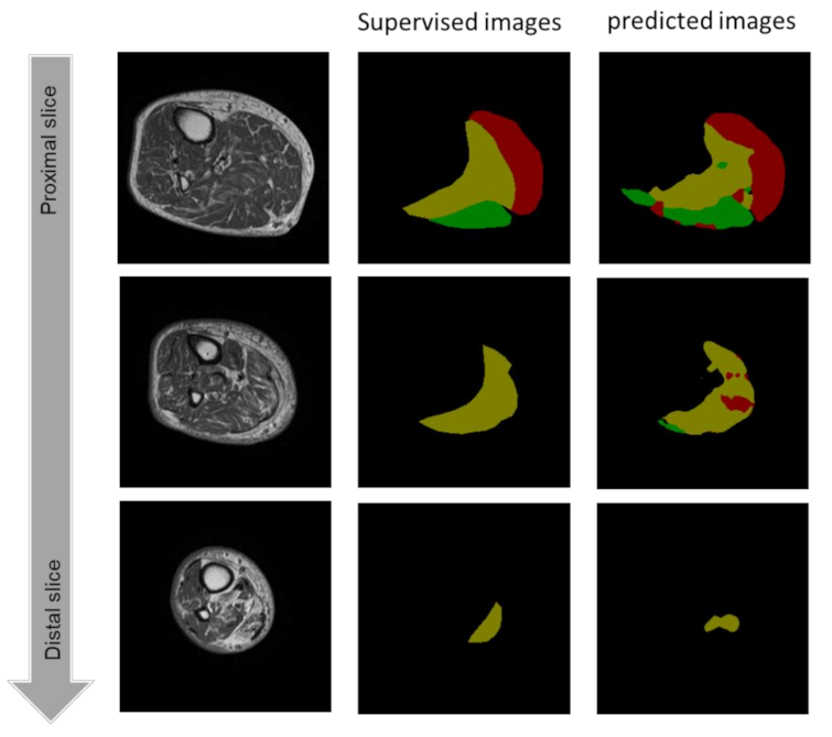 Applsci 11 12006 g007