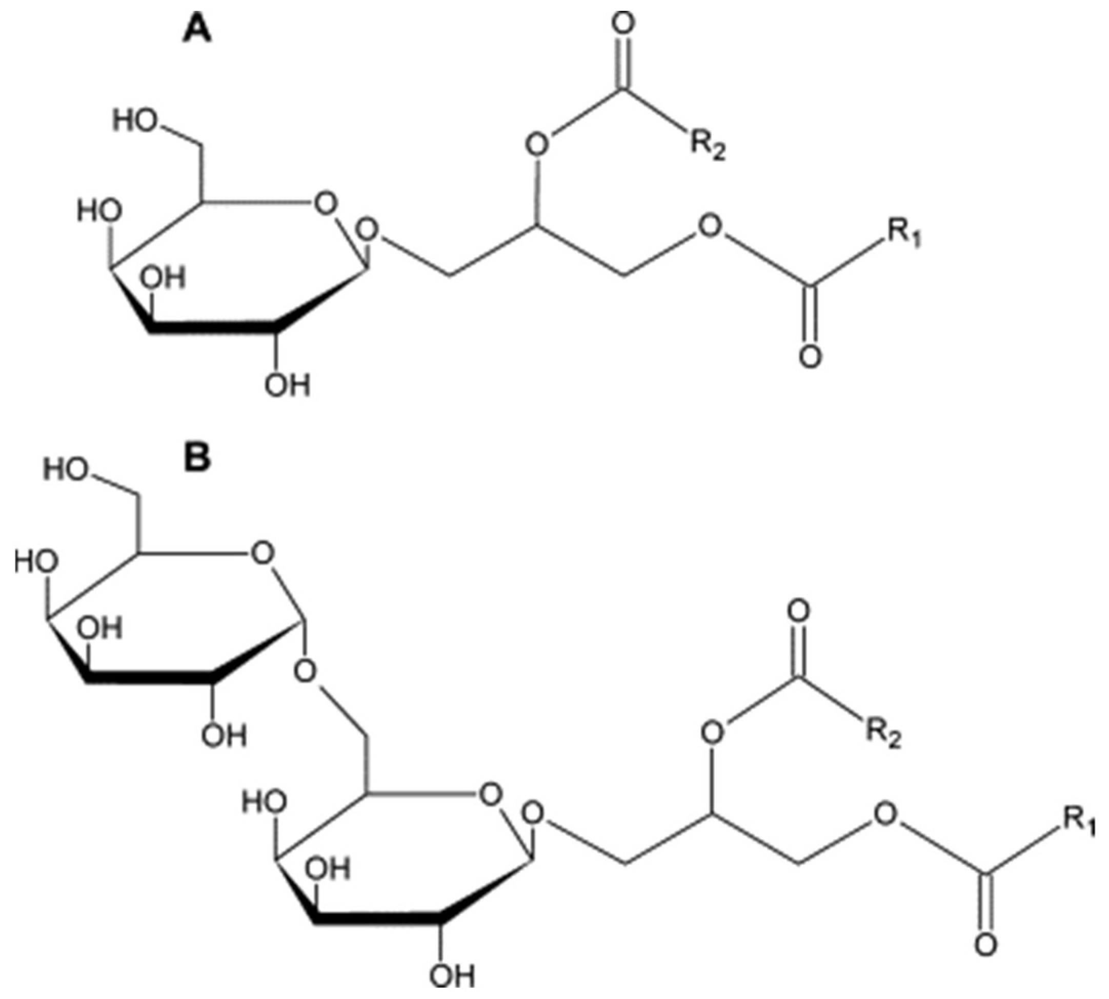 Applsci 11 12088 g001