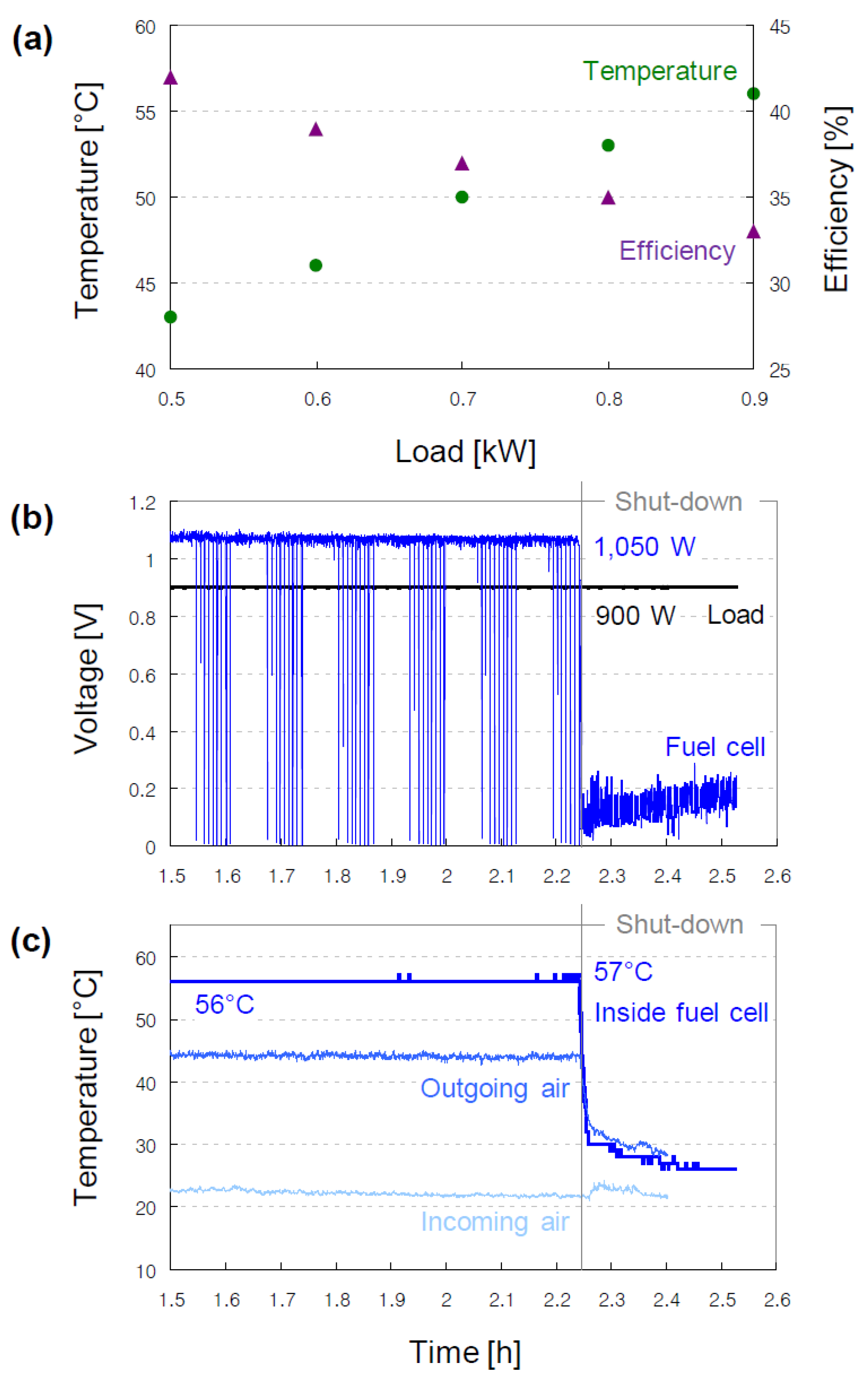 Applsci 11 12095 g001