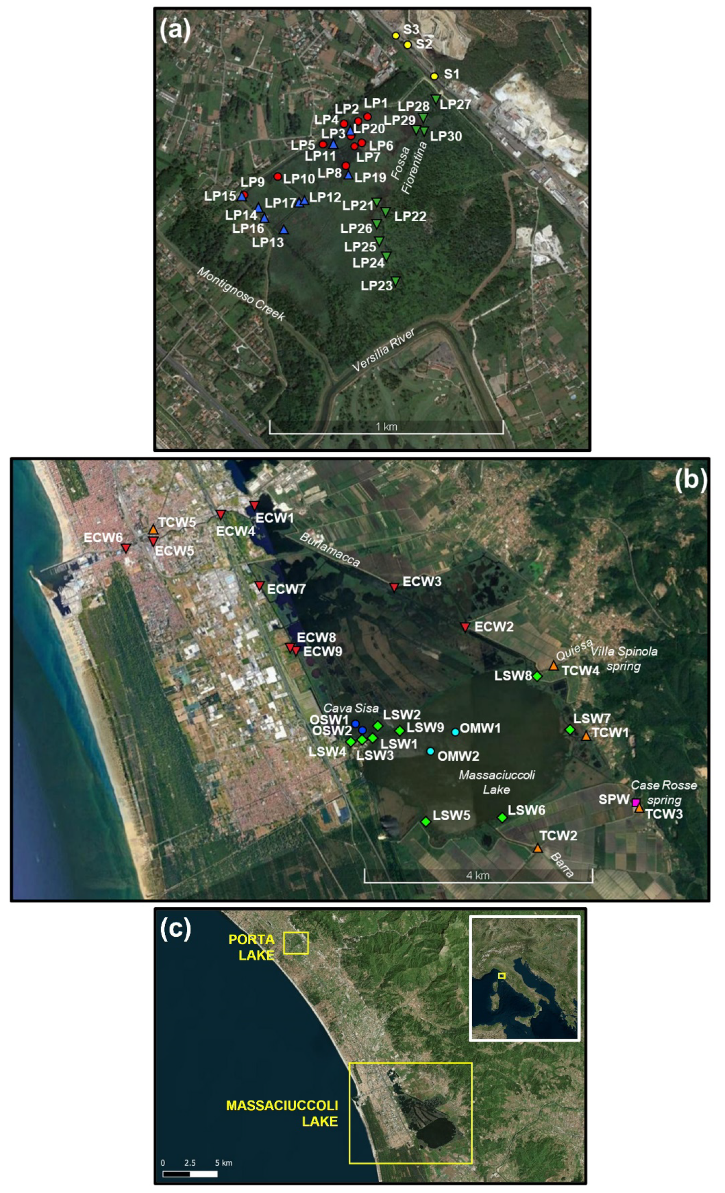 Applsci 11 12156 g001