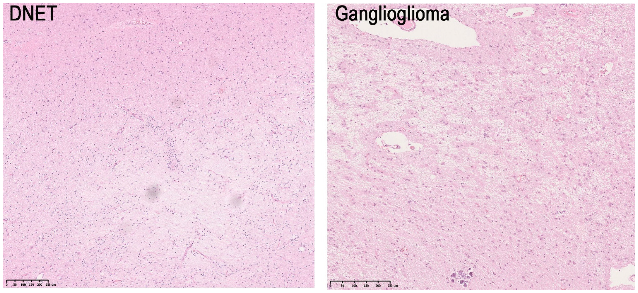 Applsci 12 00013 g001