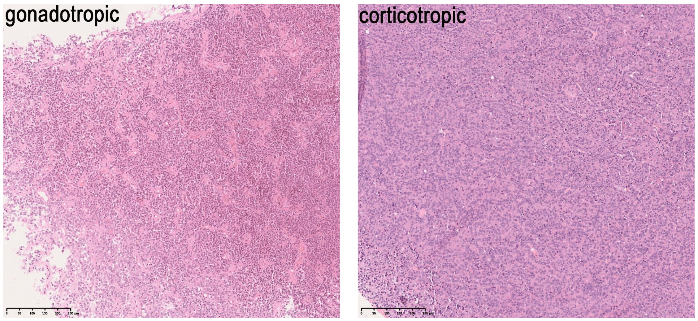 Applsci 12 00013 g002