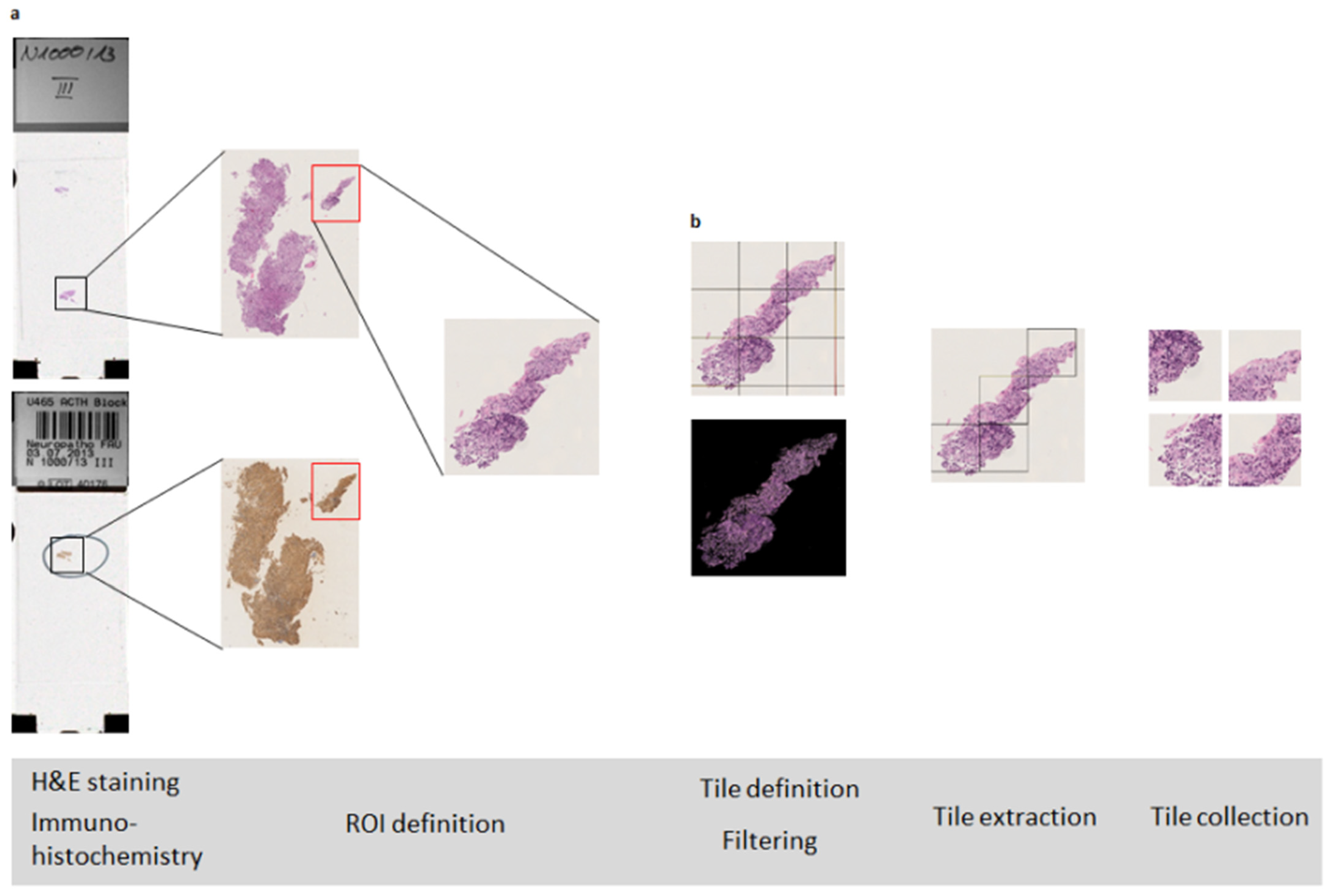 Applsci 12 00013 g005