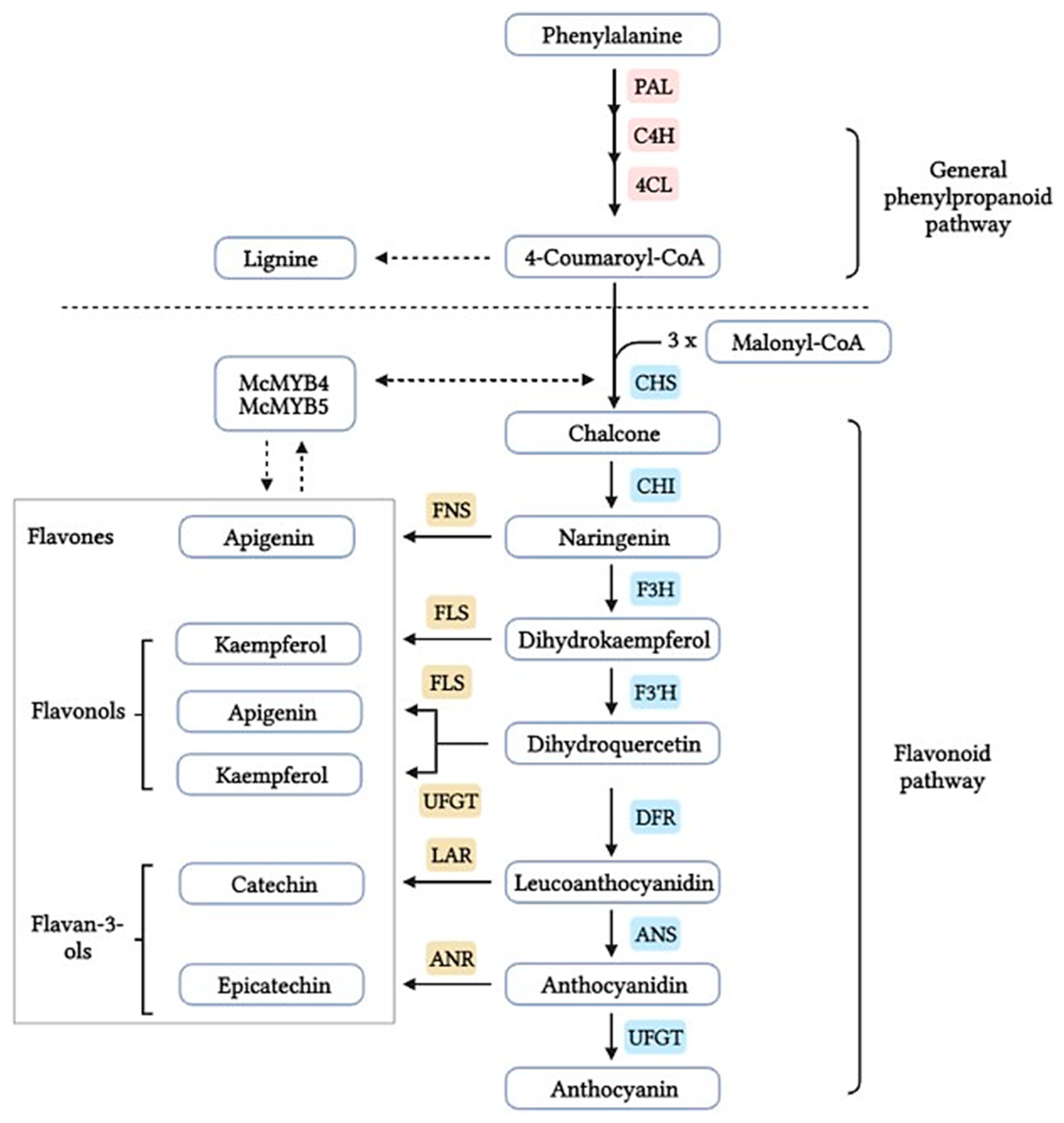 Applsci 12 00029 g001