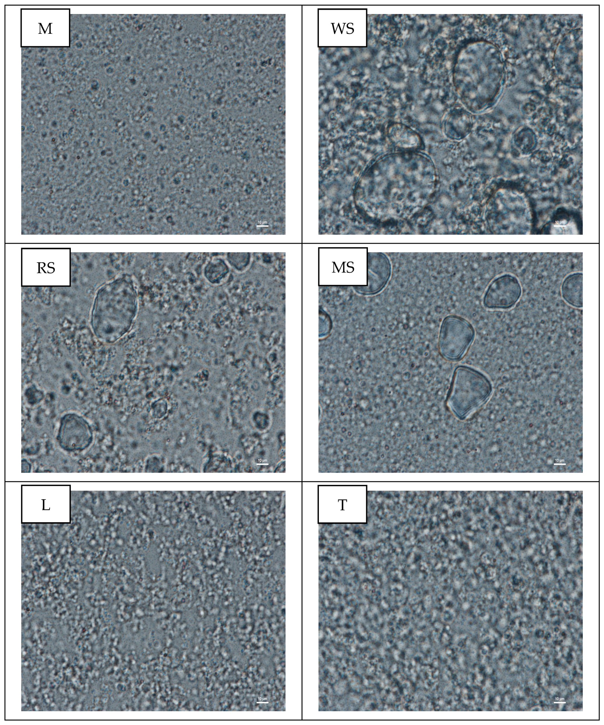Applsci 12 00033 g003 Applsci 12 00033 g003