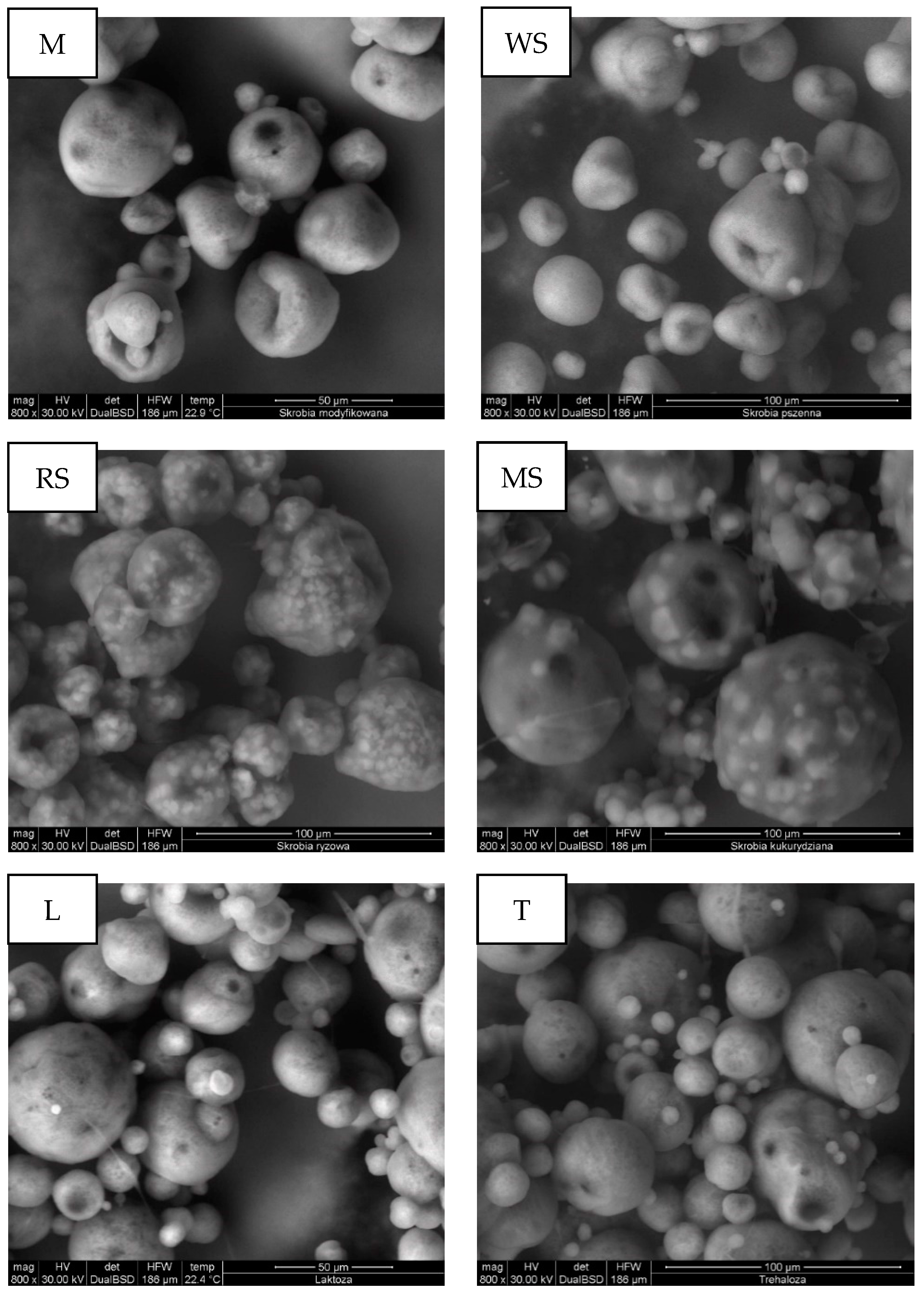 Applsci 12 00033 g004 Applsci 12 00033 g004