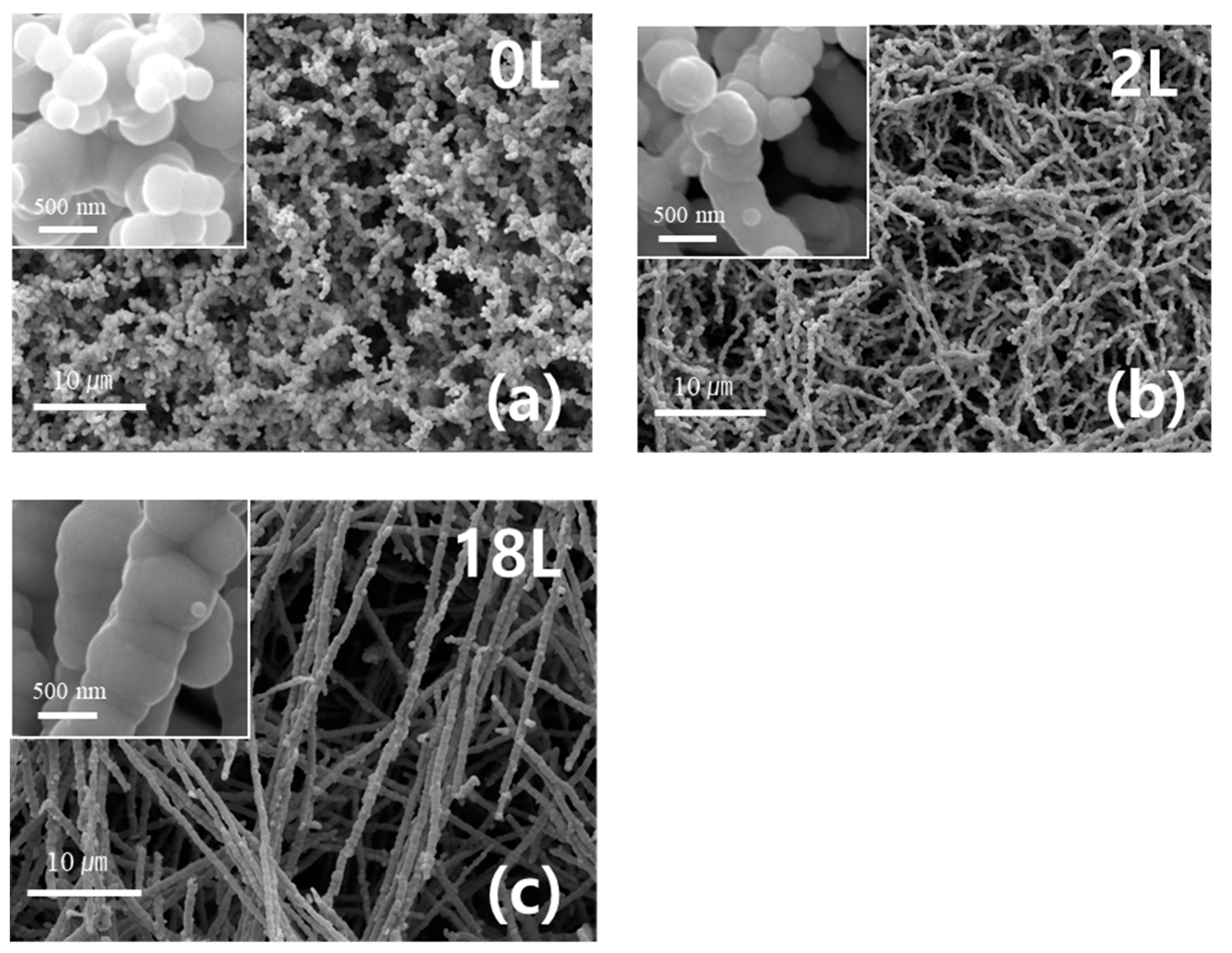 Applsci 12 00049 g001 Applsci 12 00049 g001