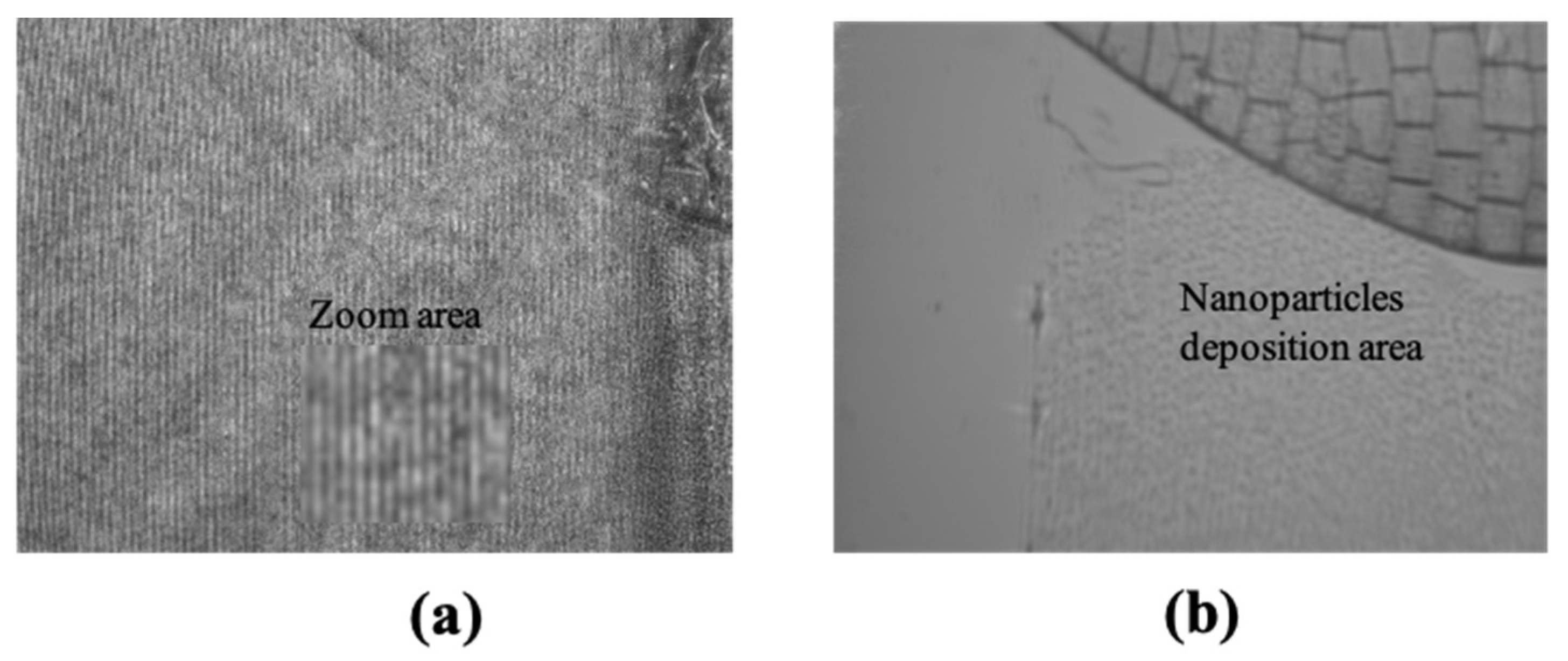 Applsci 12 00065 g004