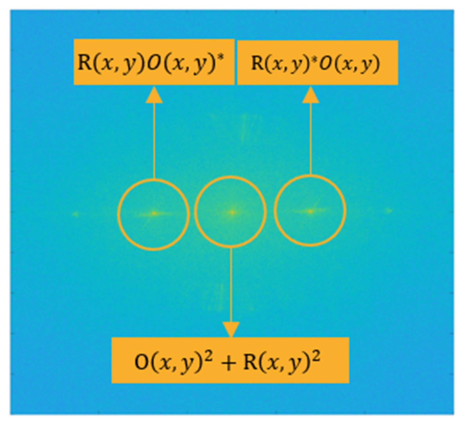 Applsci 12 00065 g005