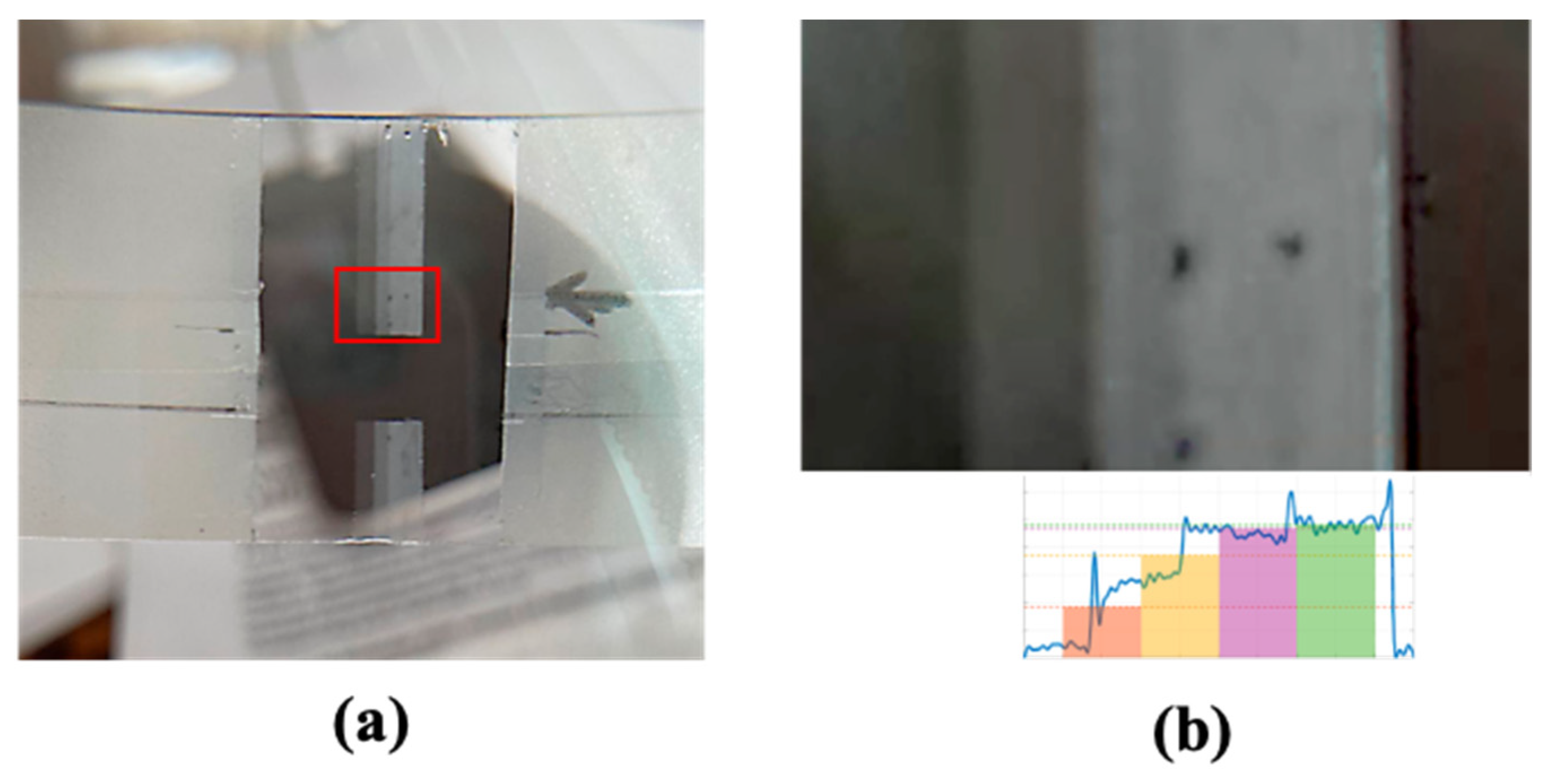 Applsci 12 00065 g006