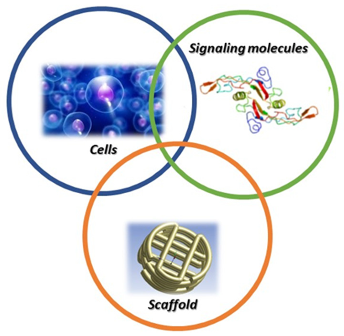 Applsci 12 00095 g001