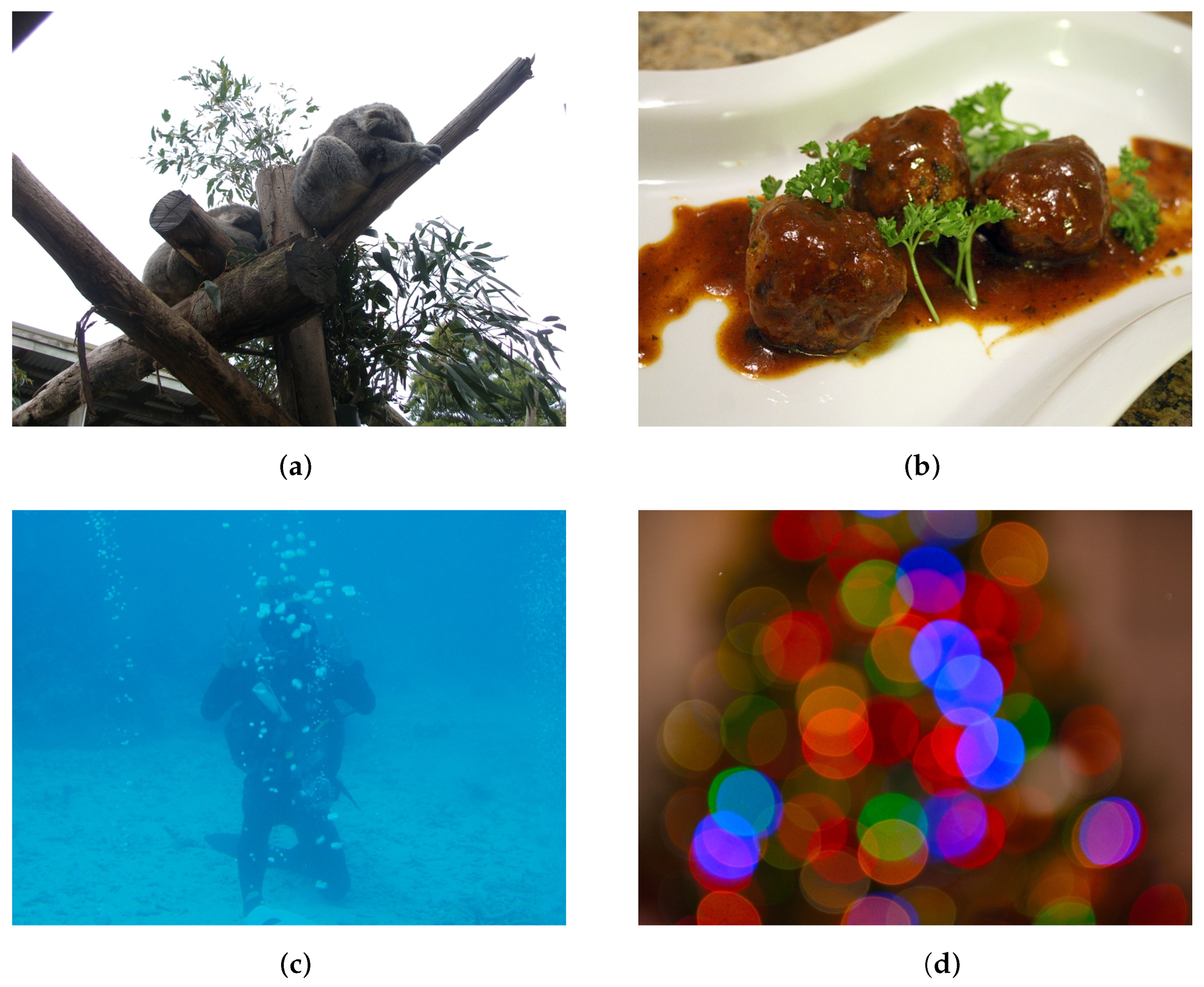 Applsci 12 00101 g002